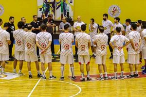 پاکدل: تهران در لیگ برتر هندبال امسال تیم داری خواهد کرد